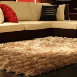 3D rug